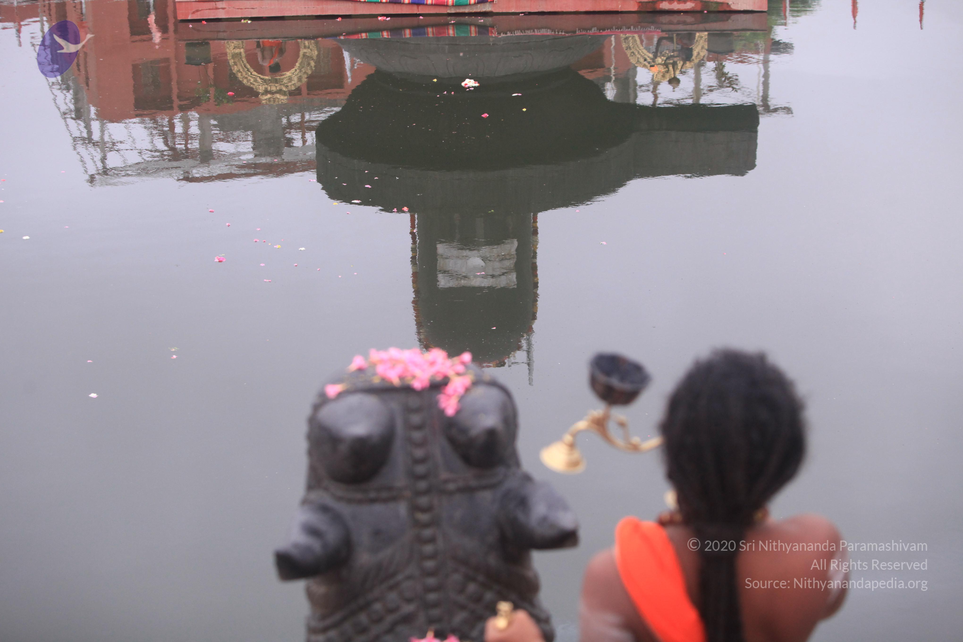 20170529_Photo_1007_IMG_8903_CMP_WM